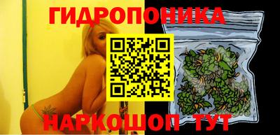 индика Коммунар