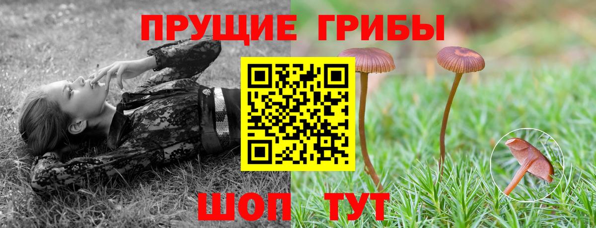 Керчь  Галлюциногенные грибы мухоморы  Псилоцибиновые грибы Psilocybe  Вход с VPN 